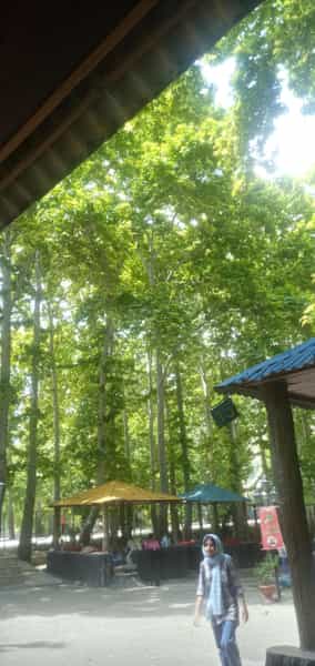 عکس رستوران سنتی لواسان در نظامی لواسان