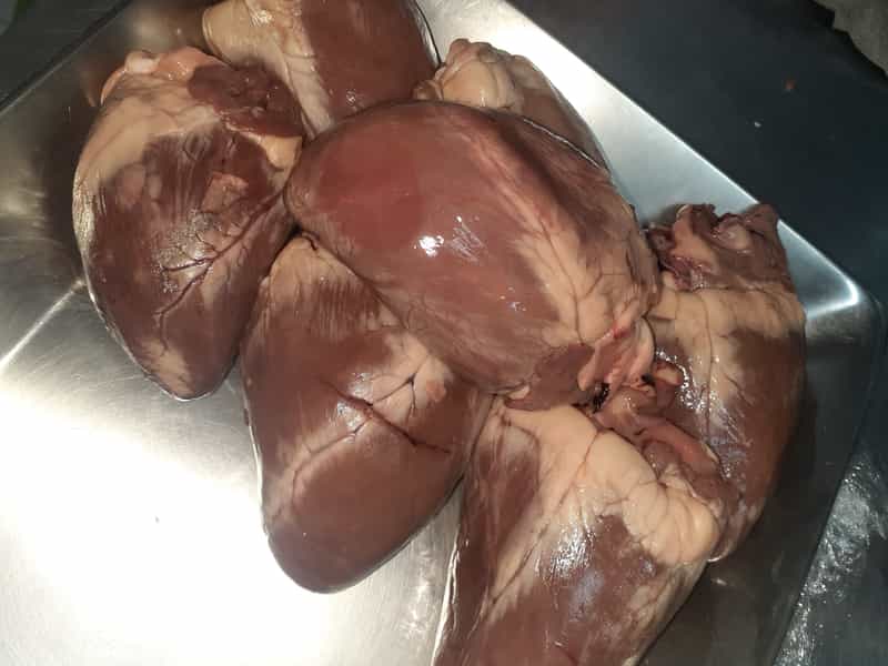 عکس جگرسرا و دیزی سرای شمالی ریکا بومهن