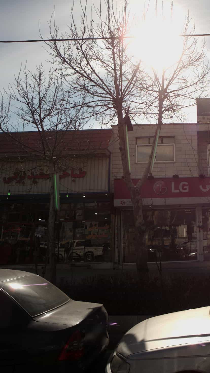 عکس طباخی سفیدبرفی رودهن