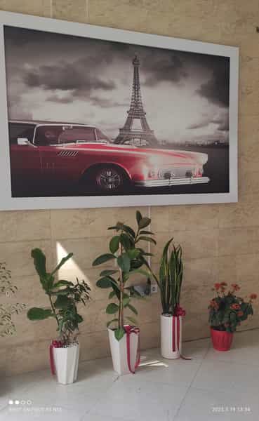 عکس رستوران کارن در گلها رباط‌کریم