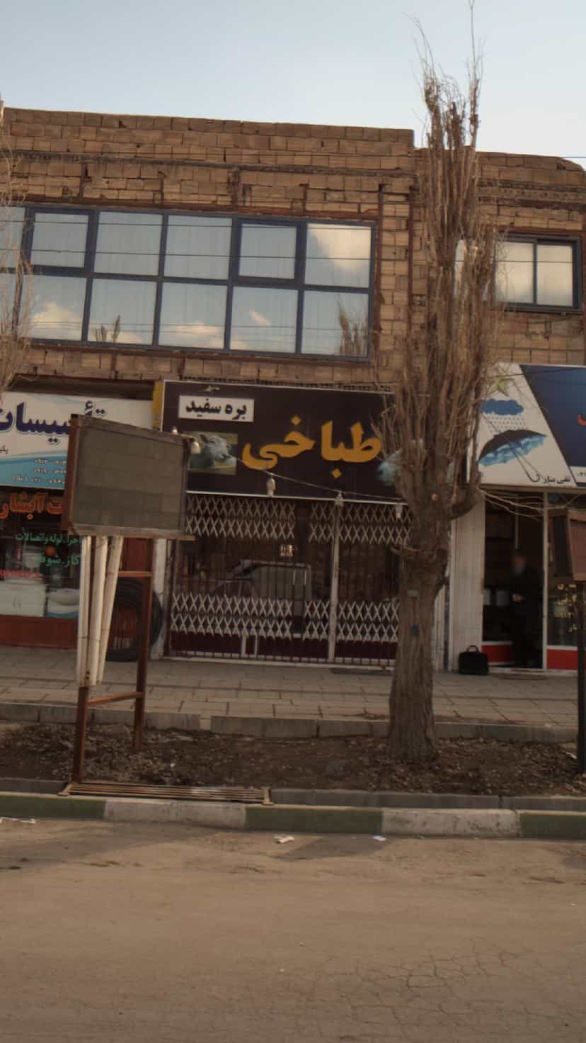 عکس طباخی بره سفید در دشتستان فیروزکوه