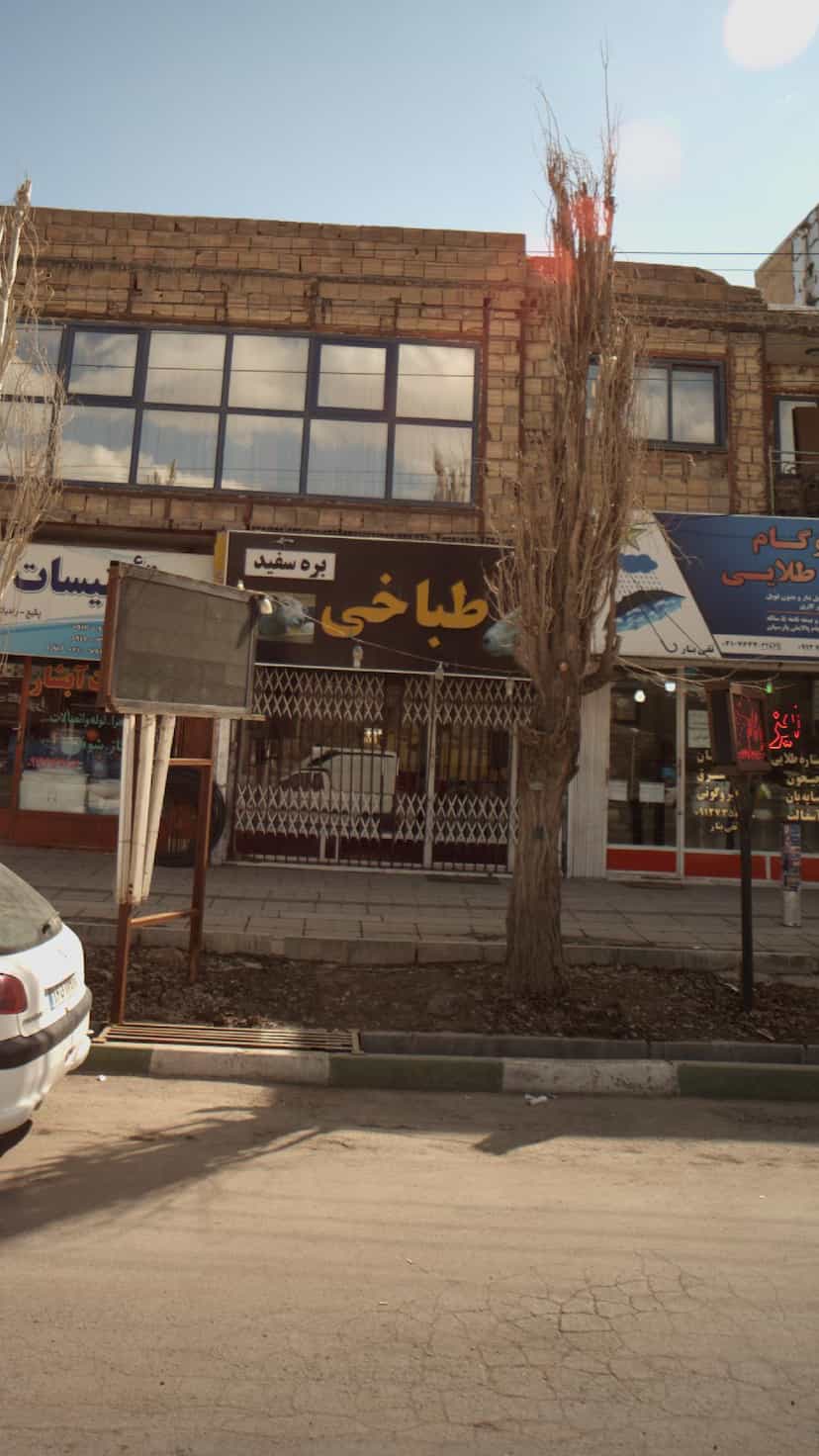 عکس طباخی بره سفید در دشتستان فیروزکوه