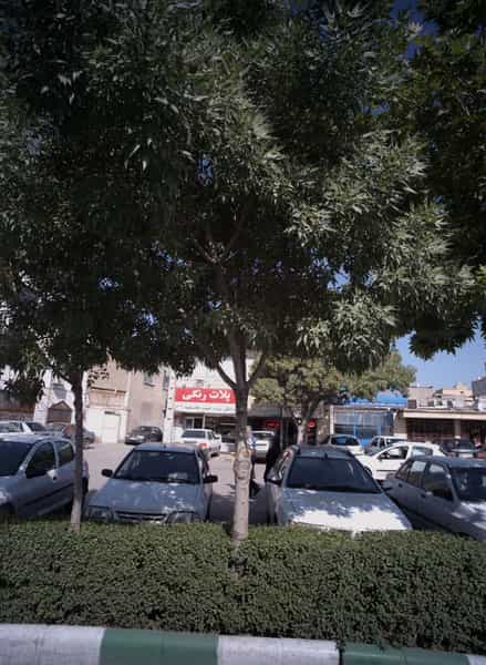 عکس خدمات چاپ پلات رنگی در فلسطین مشهد