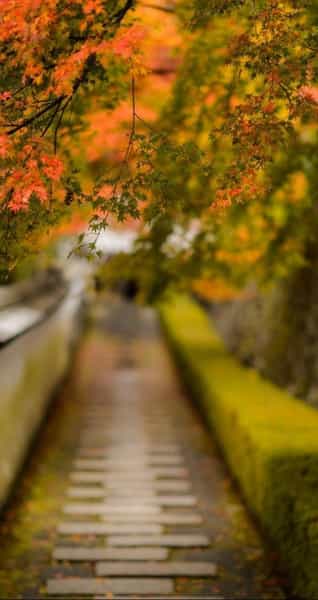 عکس صحافی آوا در اتابک 