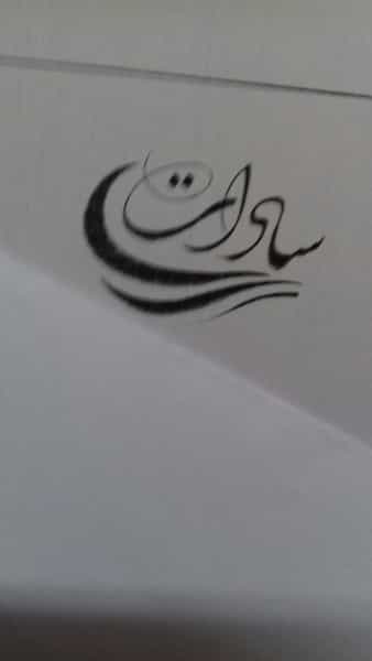 عکس صحافی سادات در فردوسی 