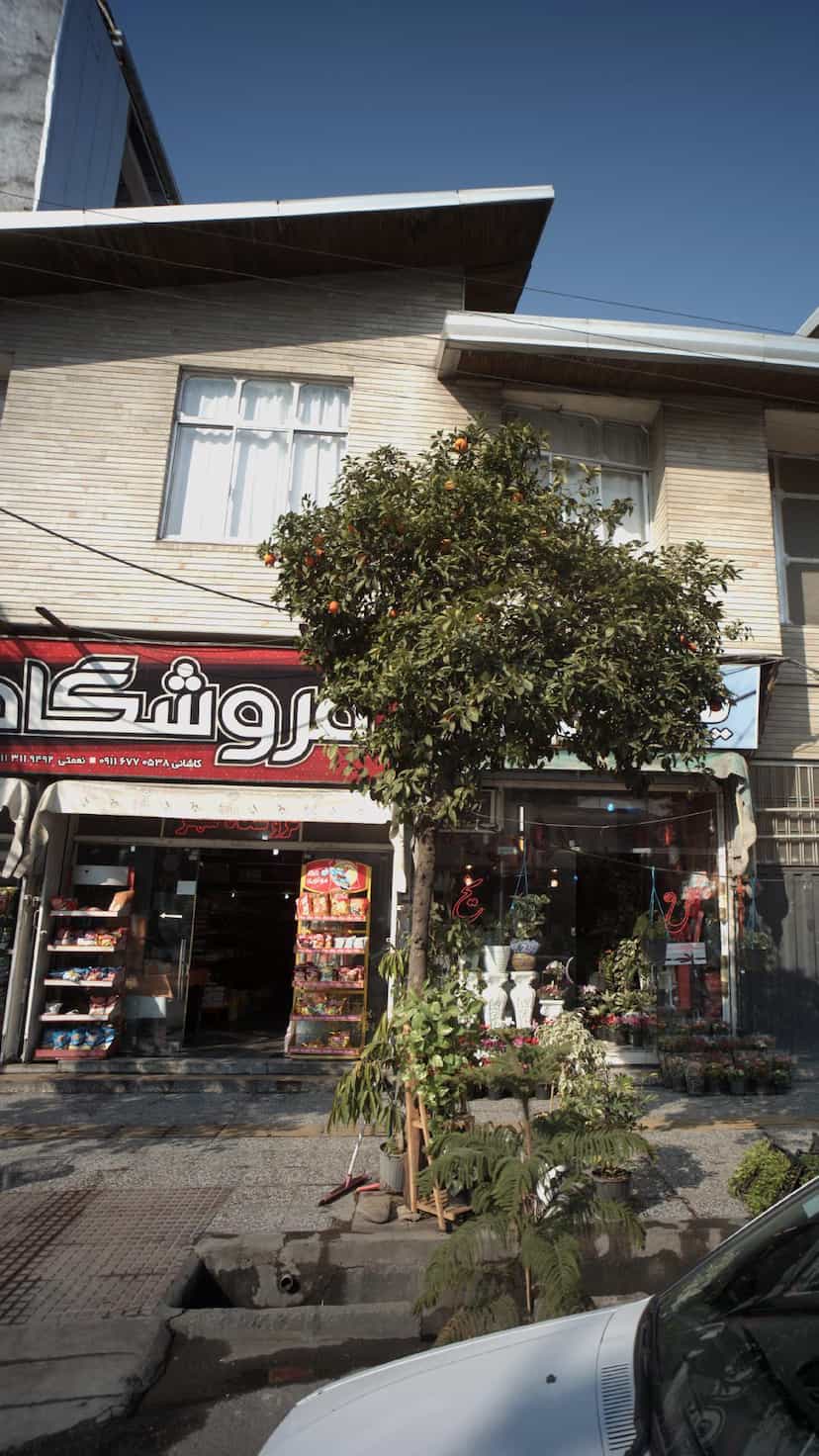 عکس فروشگاه شهر در گله محله بابل