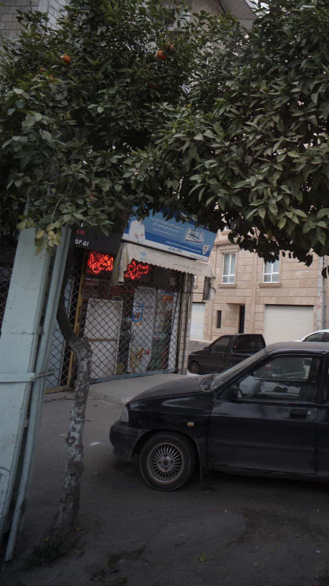 عکس سوپر دانش پورحسن در کیجا تکیه بابل