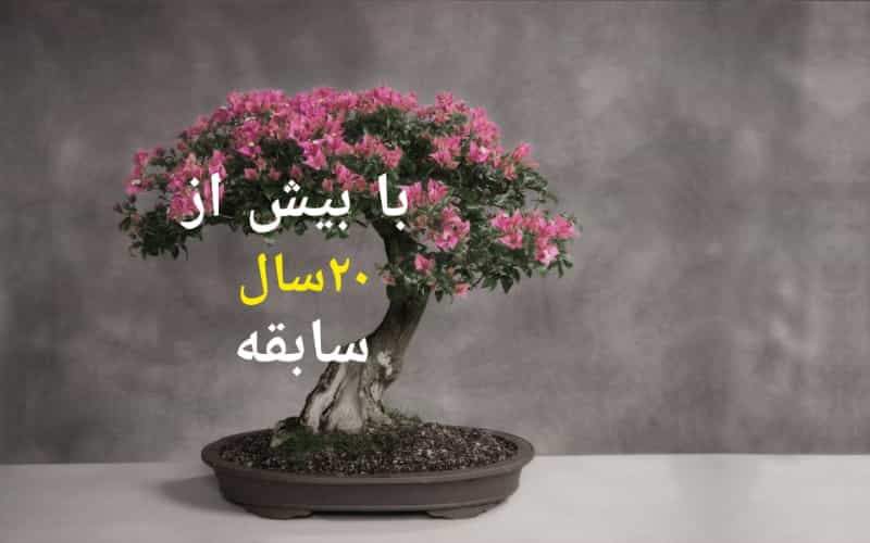 عکس نمایشگاه گل و گیاه ناندینا در دهقان ویلا کرج