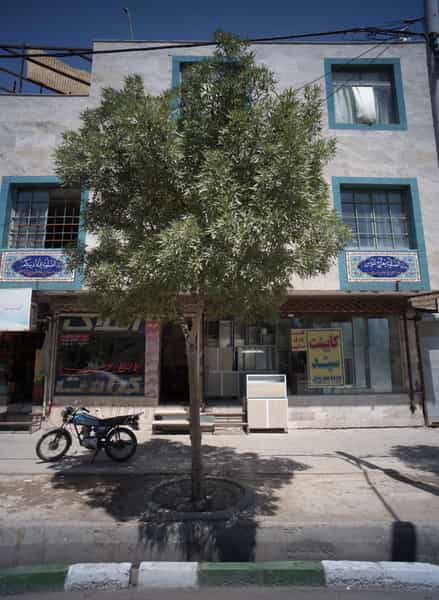 عکس کابینت سید در ثامن مشهد