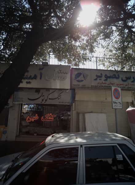 عکس تشک آمیتیس در حکمت 