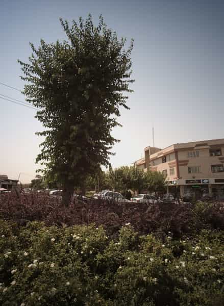 عکس کالای خواب در ظهیرآباد 