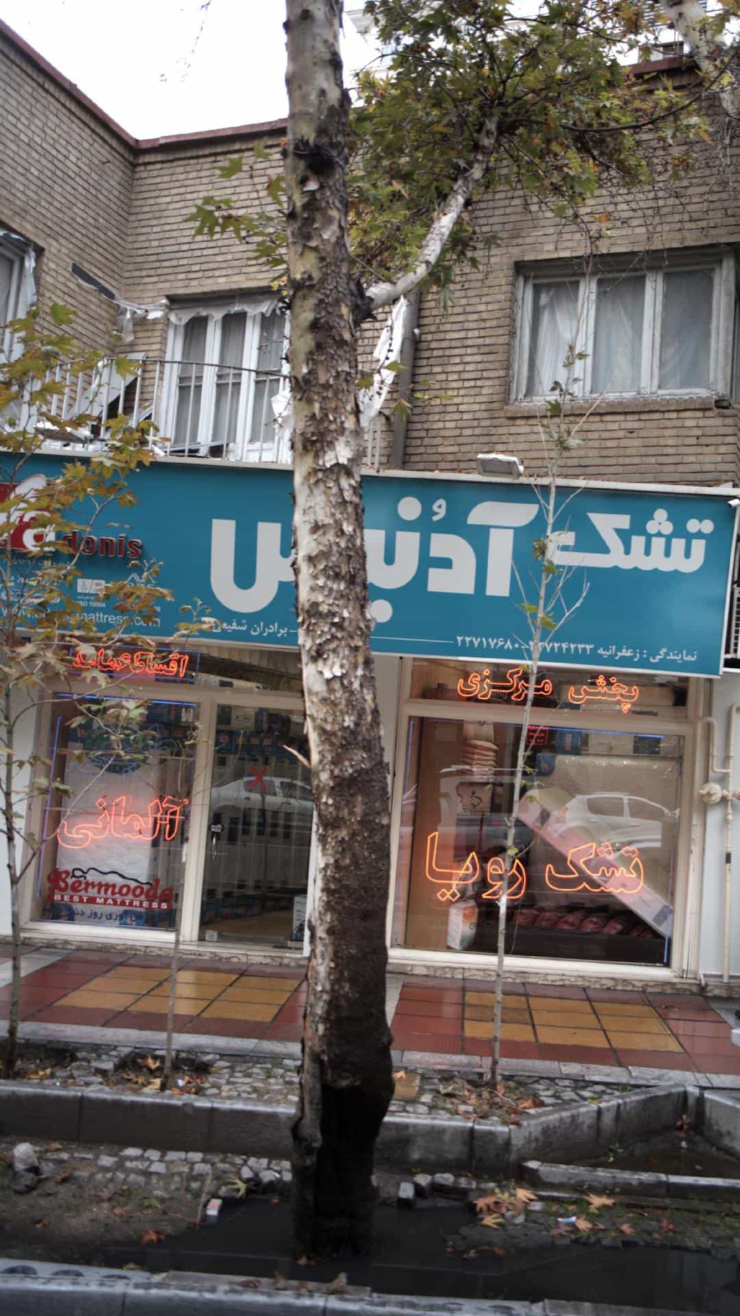 عکس تشک آدنیس در زعفرانیه 