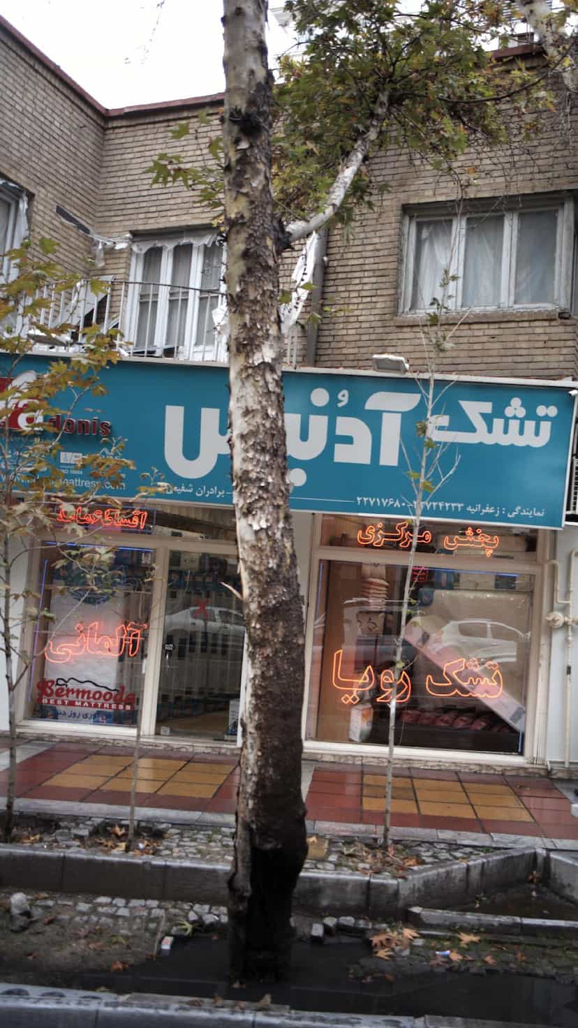 عکس تشک آدنیس در زعفرانیه 