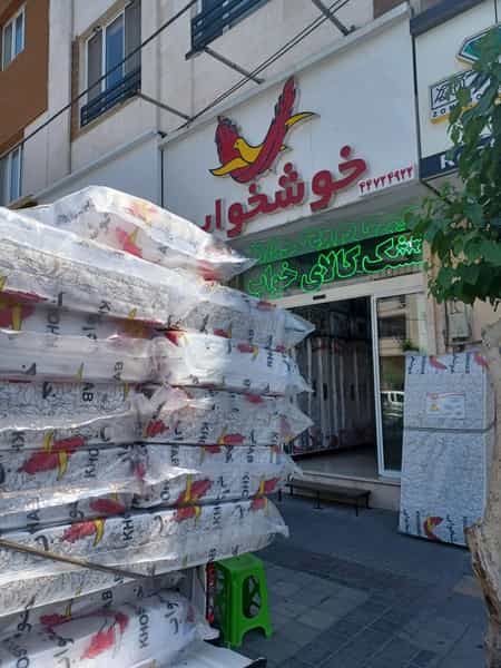 عکس خوشخواب در هوانیروز 