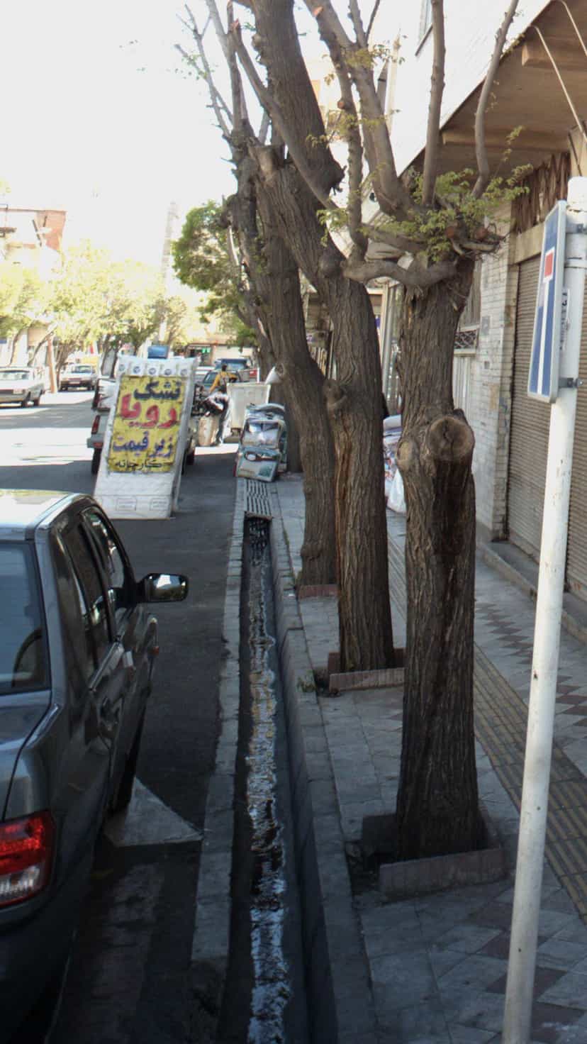 عکس تشک رویا در علی آباد جنوبی 