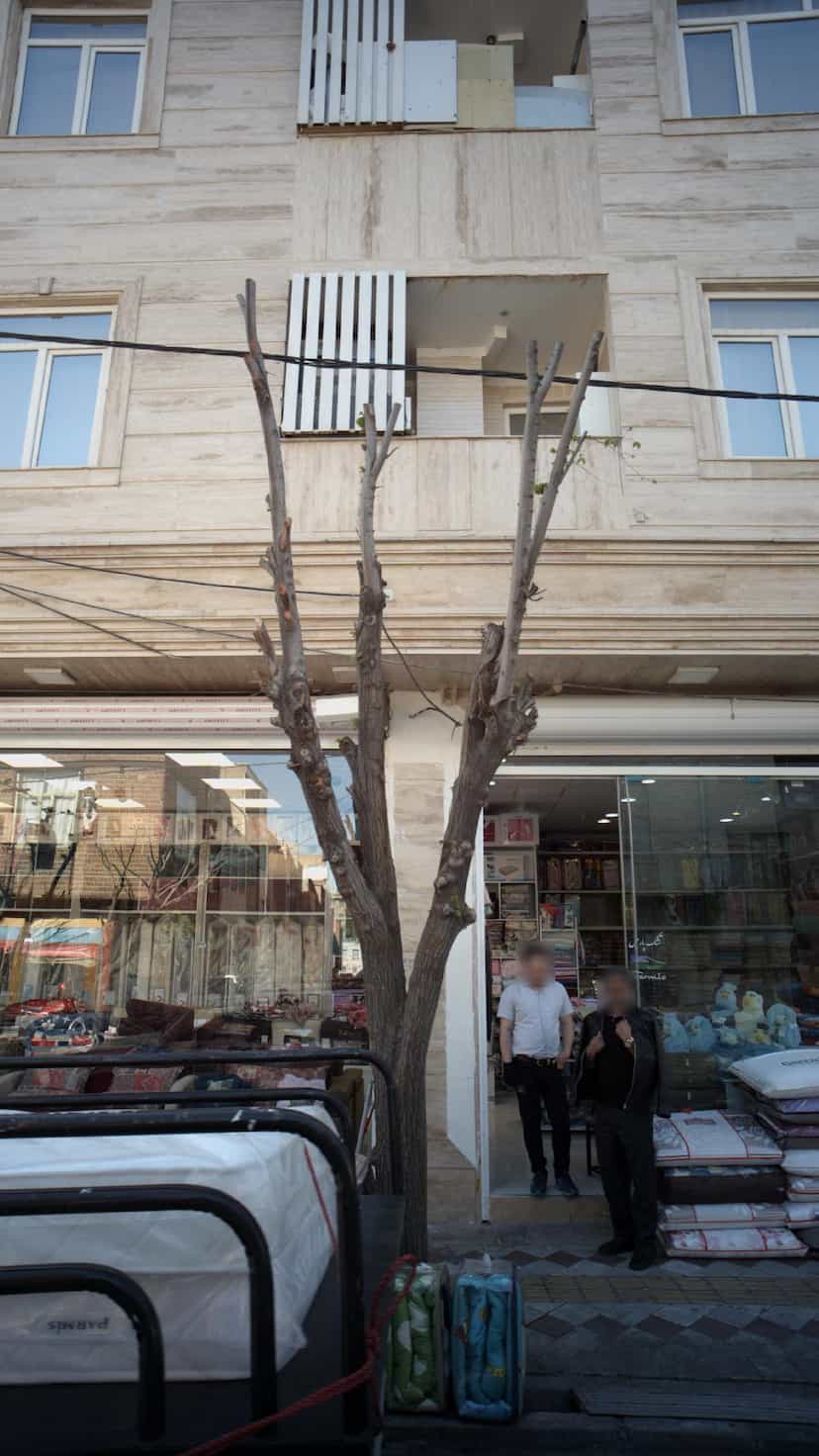 عکس تشک پارمیس در علی آباد جنوبی 