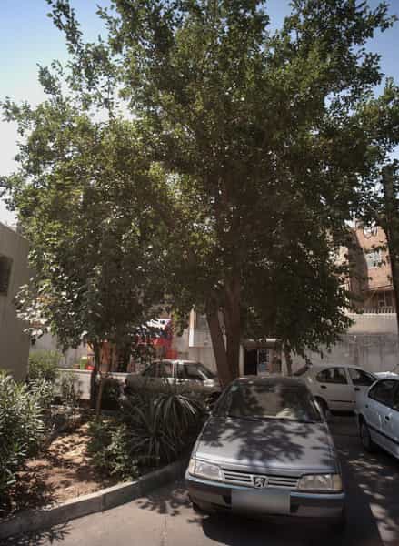 عکس فروشگاه کالای خواب در امام سجاد 