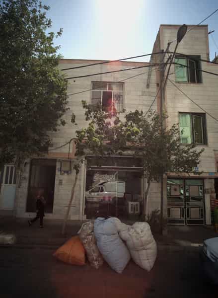 عکس کالای خواب خلیج در خلیج فارس جنوبی 