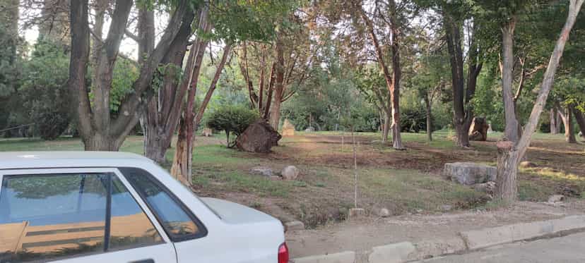 عکس بوستان مطالعه دانشجویان دختر در صفه اصفهان