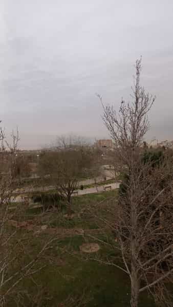 عکس بوستان شقایق در شاه قلی بیگی شیراز