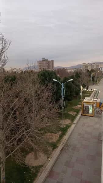 عکس بوستان شقایق در شاه قلی بیگی شیراز