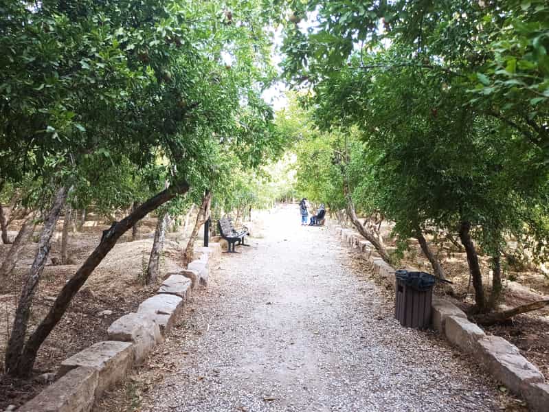 عکس باغ خانواده جماران در معالی آباد شیراز