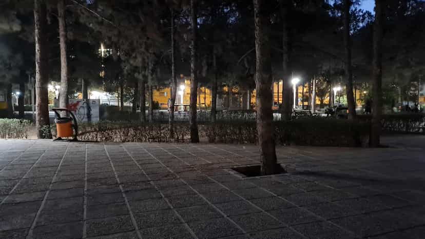 عکس بوستان کاج در ریشمک شیراز