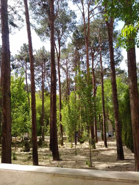 عکس پارک آزادگان در صفائیه یزد