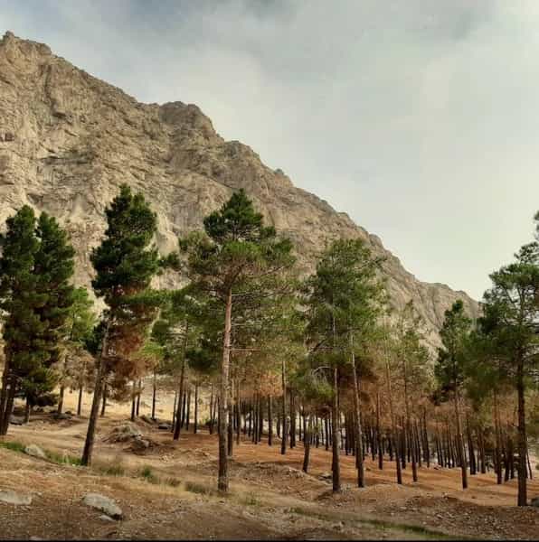 عکس پارک غربی در طاق بستان کرمانشاه