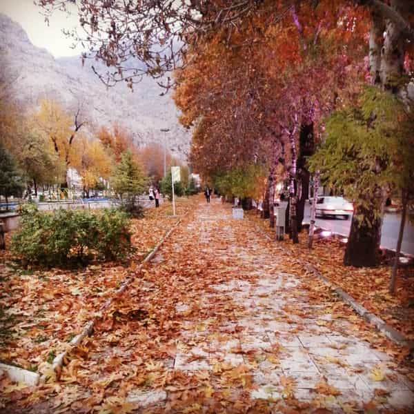 عکس پارک در تازه آباد کرمانشاه