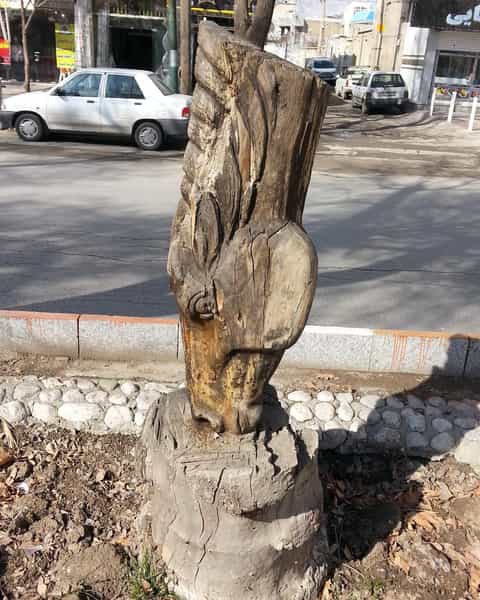 عکس پارک در تازه آباد کرمانشاه