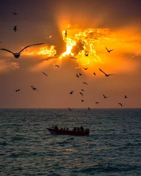 عکس پارک مرجان منطقه نظامی بوشهر