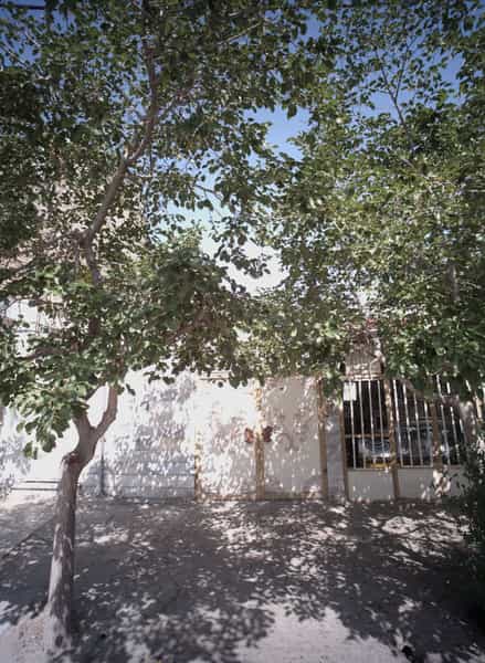 عکس سوپرمارکت در خواجه ربیع مشهد