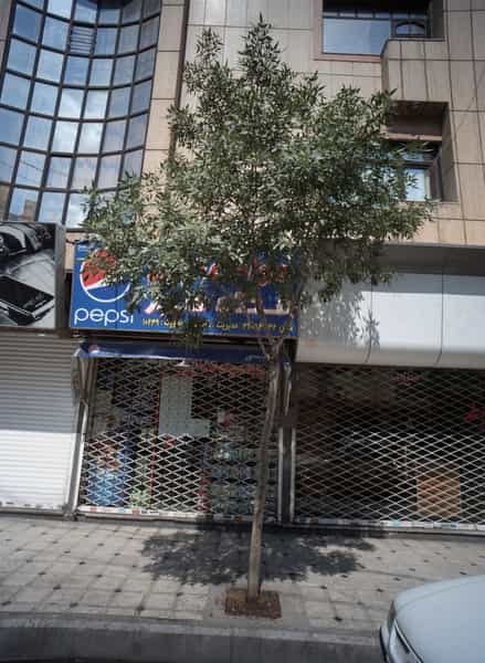 عکس فروشگاه مواد غذایی فدک سبز در بهاران مشهد