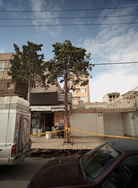 عکس لبنیات قوی در سید رضی مشهد