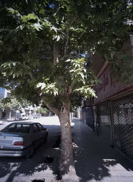 عکس سوپرمارکت بیگی در بلال مشهد