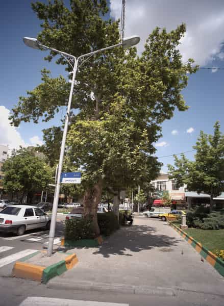 عکس مواد غذایی یزدانی در دانش مشهد