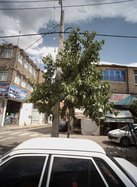 عکس سوپر جزیره در شهید قربانی مشهد