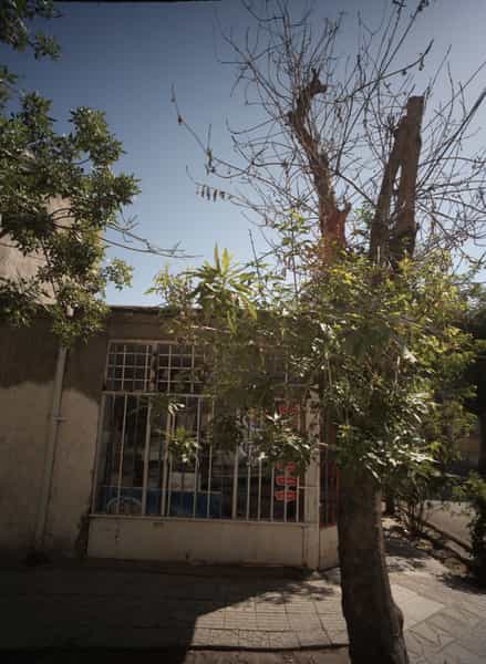 عکس سوپرمارکت در مقدم مشهد