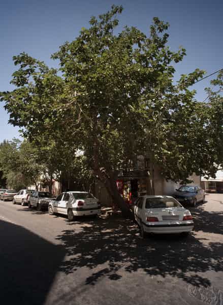 عکس سوپر مارکت در کلاهدوز مشهد