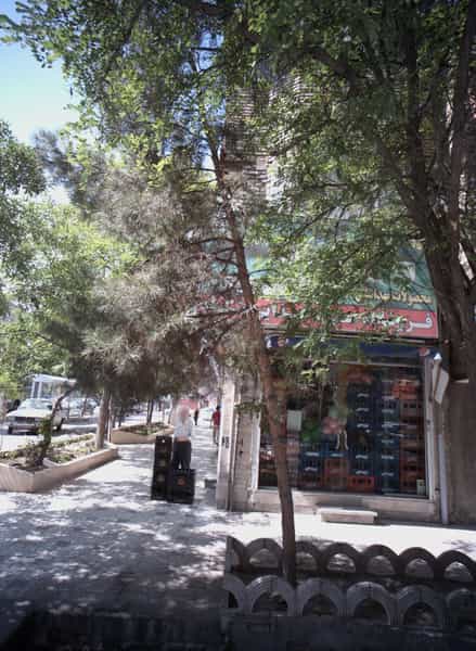 عکس فروشگاه مواد غذایی شکوفه در شفا مشهد