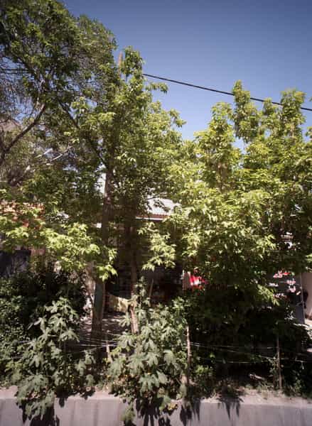 عکس فروشگاه زینت در حضرت ابوطالب مشهد