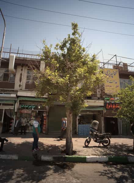 عکس سوپر صدف در کارمندان اول مشهد