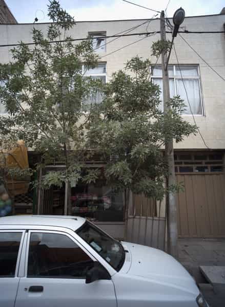 عکس سوپر رضا شهرک مهر آباد مشهد