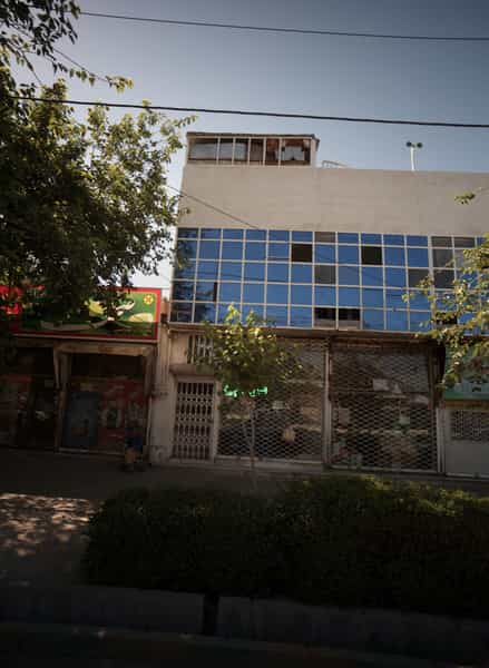 عکس موادغذایی چمن در پنجتن آل عبا مشهد