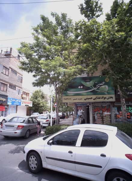 عکس پخش مواد غذایی حسینی در دانشجو مشهد