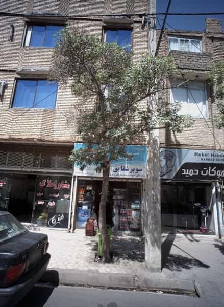 عکس سوپر شقایق در هدایت مشهد