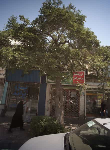 عکس فروشگاه پرهیزکار در کوشش مشهد