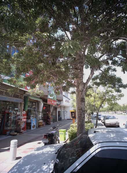 عکس مواد غذایی ناصری در محمد آباد مشهد