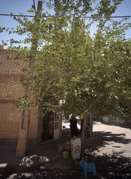 عکس سوپر مارکت در بلال مشهد